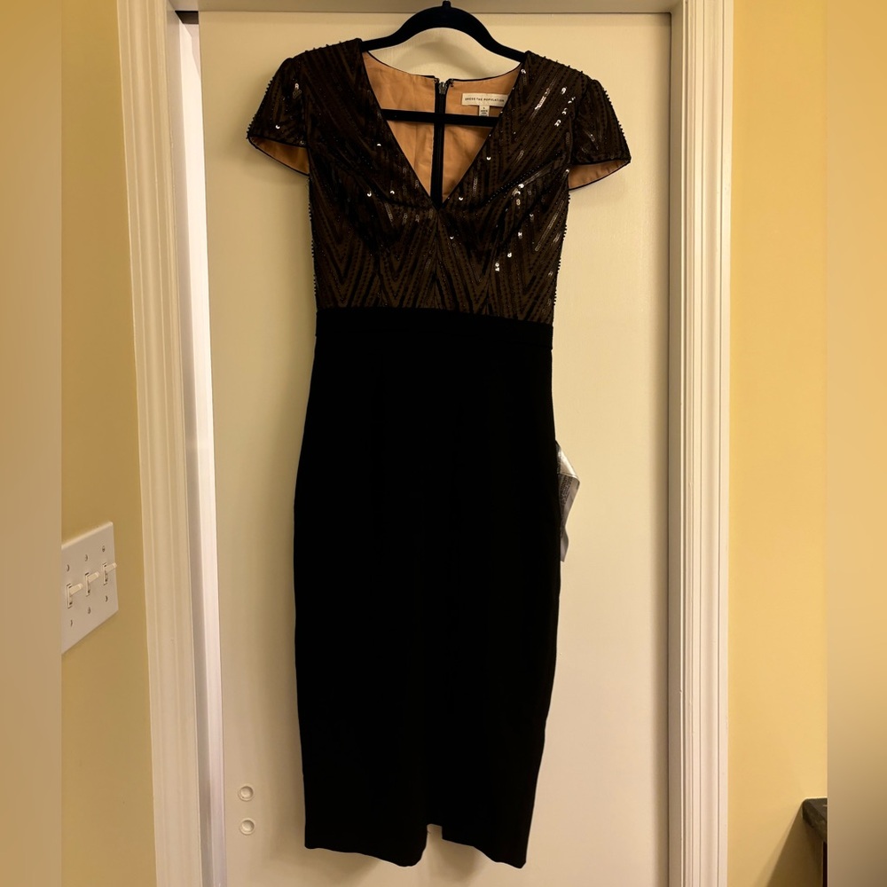 Dress the Population Ivy Dress